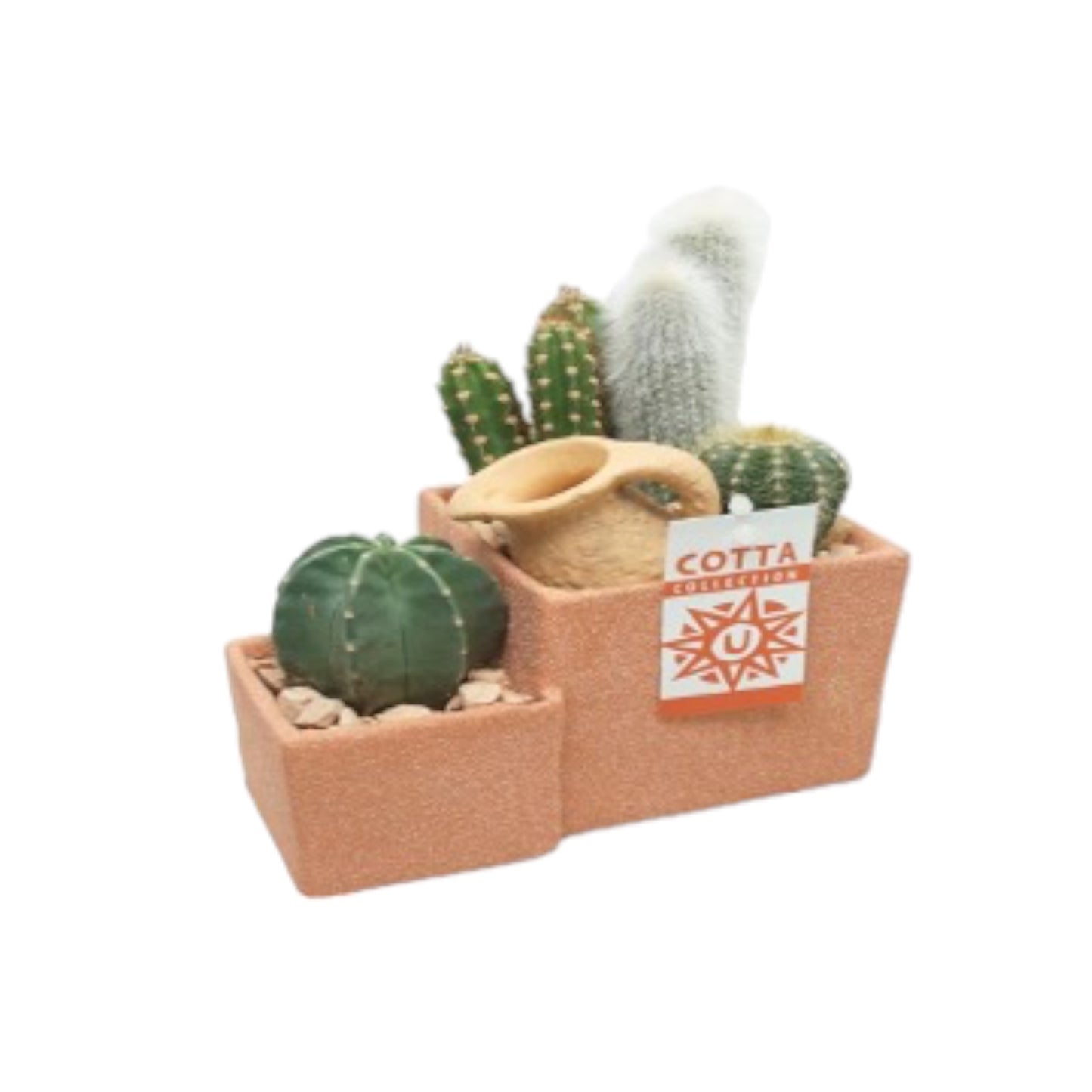 Medium Cacti arrangement 2 Level in terracotta