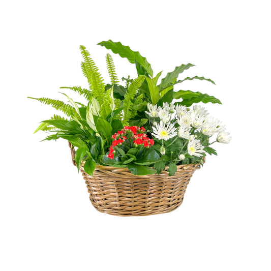 Large Festive Gift Basket