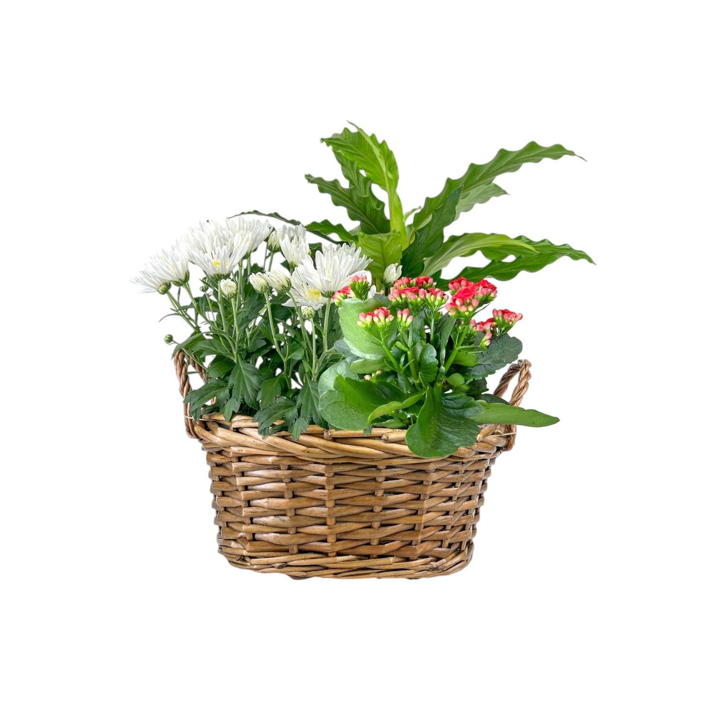 Medium Festive Gift Basket