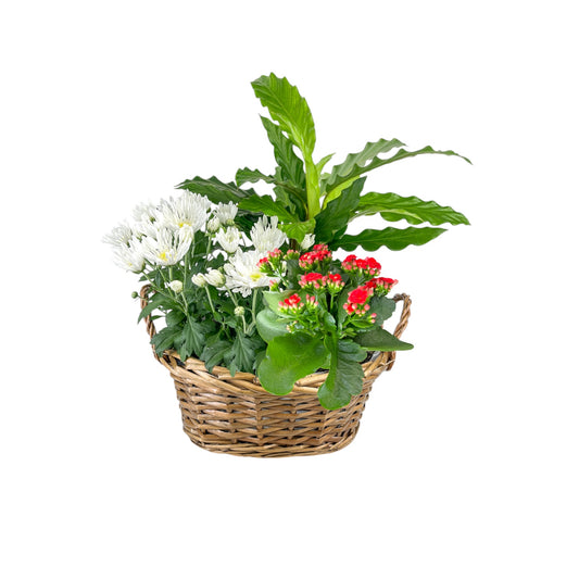 Medium Festive Gift Basket