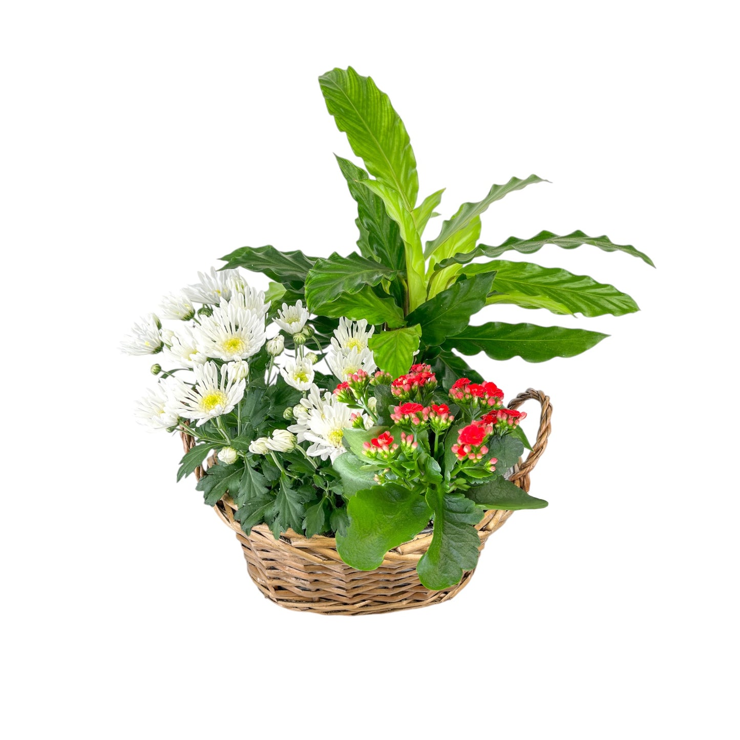 Medium Festive Gift Basket