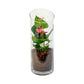 Anthurium 9cm Champion Mix In Glass Terrarium