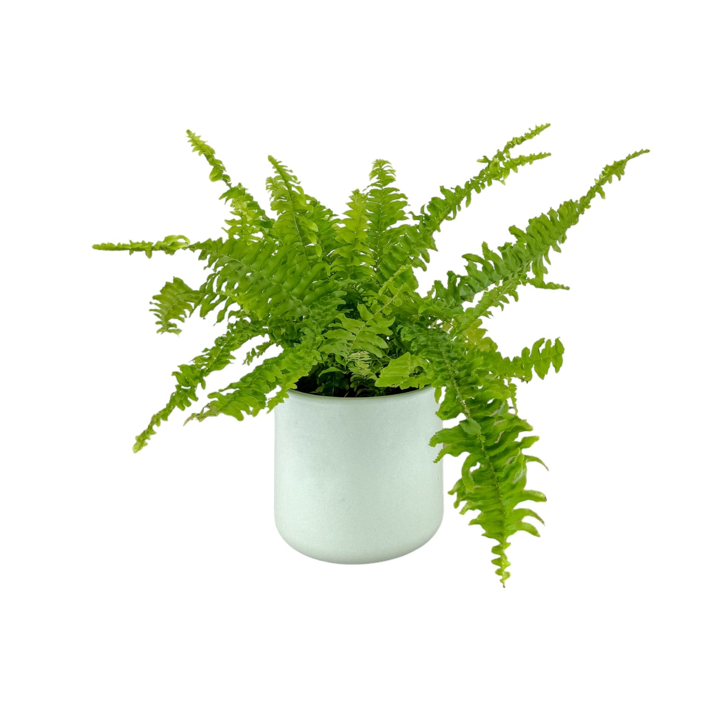 Fern 12cm Green Lady in Cambridge Ceramic