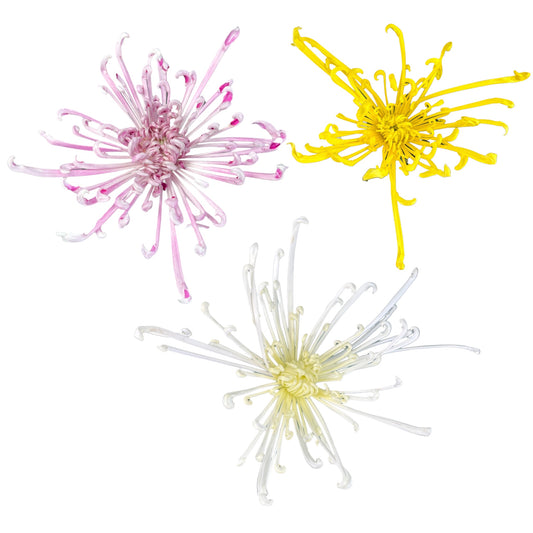 Chrysanthemum 14cm Fireworks Mixed Colours